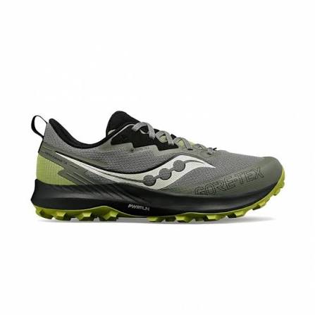 PEREGRINE 14 M GTX